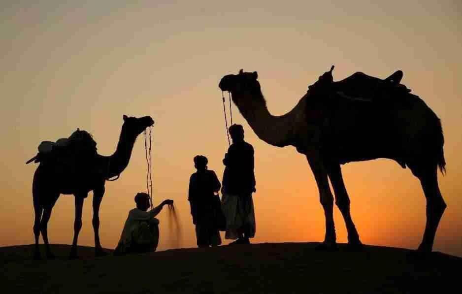منتجع وكامب ذا ماما جيلسامر المظهر الخارجي الصورة